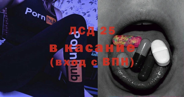 хмурый Белокуриха