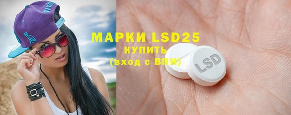 хмурый Белокуриха