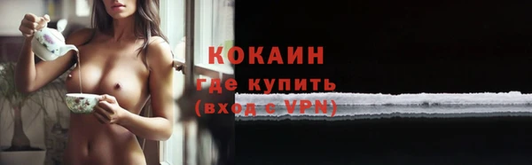 хмурый Белокуриха