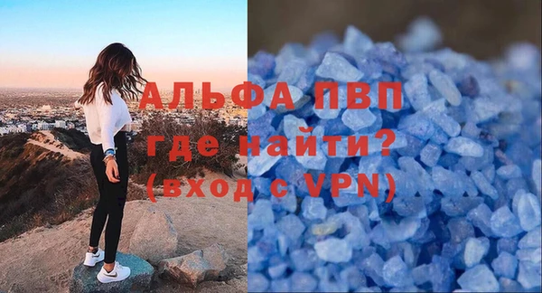 хмурый Белокуриха