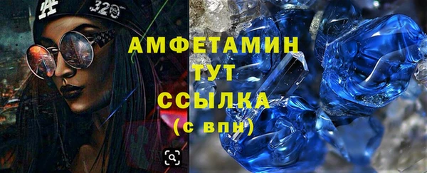 хмурый Белокуриха